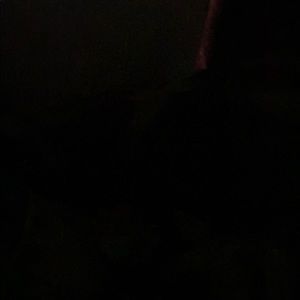 Meet your Posher, Suzanne